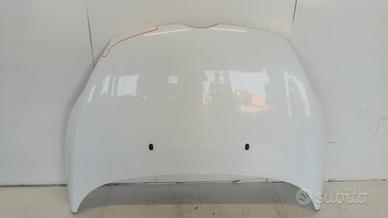 COFANO ANTERIORE FORD Fiesta 2008>2013 usato