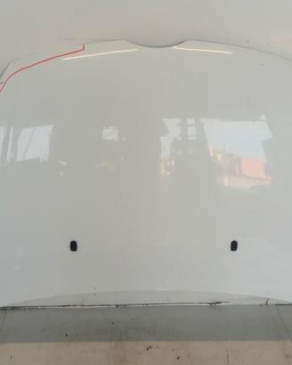COFANO ANTERIORE FORD Fiesta 2008>2013 usato