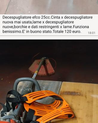 Decespugliatore Efco tagliaerba prof. giardino 