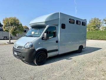 Van patente B trasporto cavalli