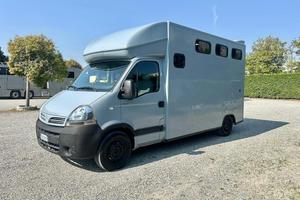 Van patente B trasporto cavalli