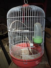 Gabbia per uccelli