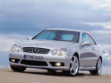 Manuale d'uso Mercedes clk w209