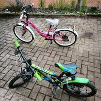 biciclette bambini (mascio e femmina)