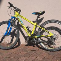 Bicicletta Mtb KTM Wild 24