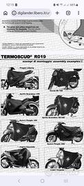 Termoscudo R019 per Scarabeo 50 e simili