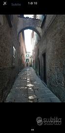 Monolocale- Locale / C2