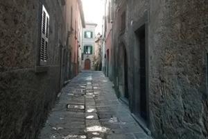 Monolocale- Locale / C2