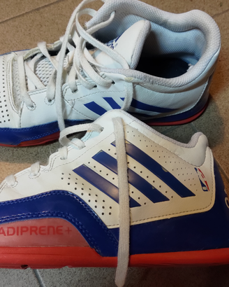 Scarpe Basket Adidas NBA