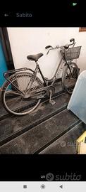 bicicletta donna 