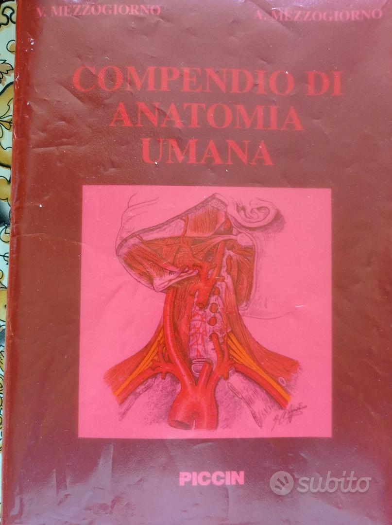 Compendio di anatomia umana