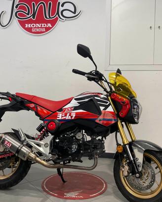 Honda MSX 125 usato garantito