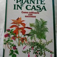 piante in casa 