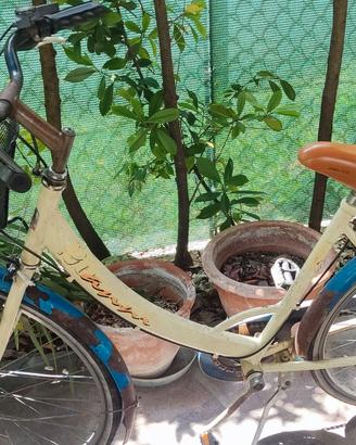 bicicletta donna con cestino