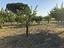 Immagine 12