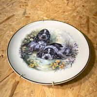 Piatto da collezione