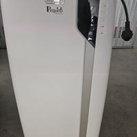 Climatizzatore pinguino Delonghi extreme