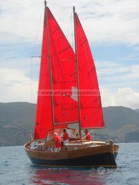 Motorsailer Moltedo Pexino