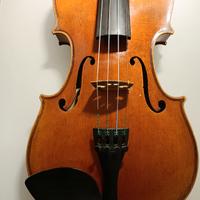 Violino