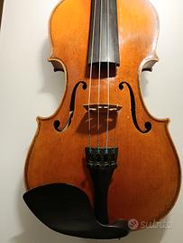 Violino