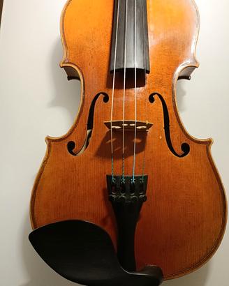 Violino