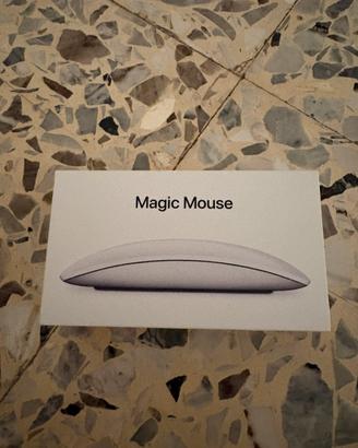 Magic Mouse