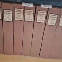 Dizionario enciclopedico Treccani nuovo