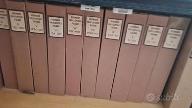 Dizionario enciclopedico Treccani nuovo