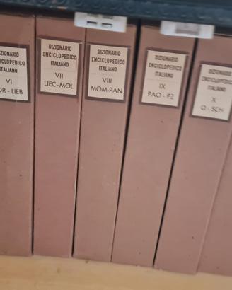 Dizionario enciclopedico Treccani nuovo