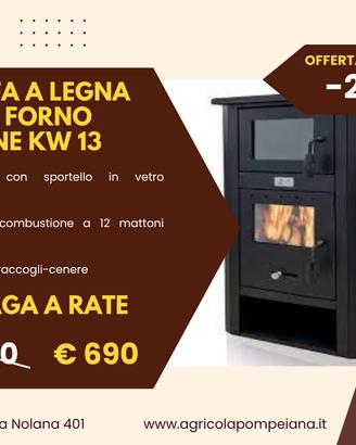 Stufa a legna con forno Dafne kw 13