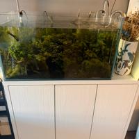 Acquario 225 litri circa