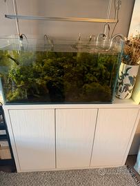 Acquario 225 litri circa