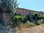 Immagine 16