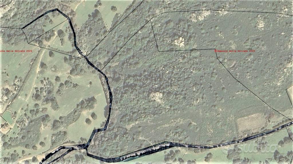 Terreno di 65000 m² a Telti - Altro