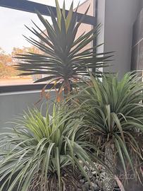 Composizione di piante finte da arredo