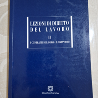 Lezioni di diritto del lavoro Libro universitario