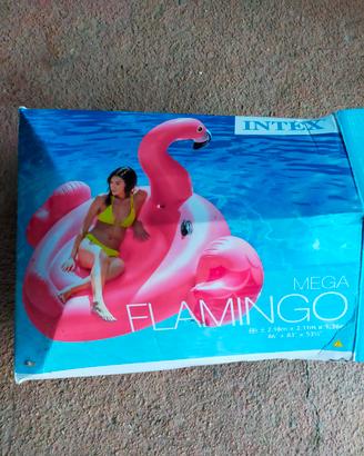 gonfiabile piscina 