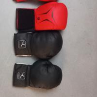 guantoni boxe domyos 