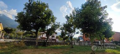 Terreno agricolo 600 mq San Giorio di Susa