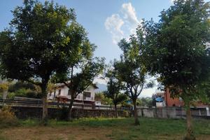 Terreno agricolo 600 mq San Giorio di Susa