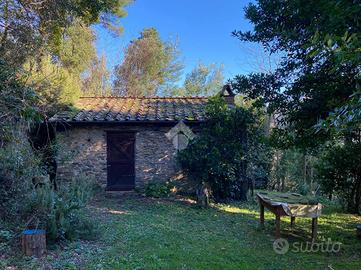 RUSTICO A CAPANNORI
