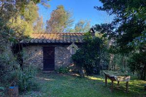 RUSTICO A CAPANNORI