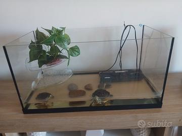Acquario 