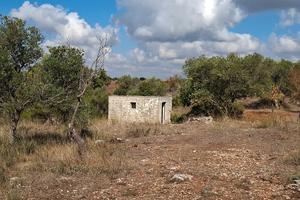 Terreno agricolo con un rustico di 4x4 m circa.