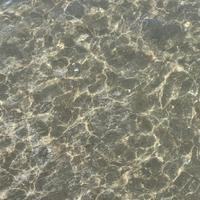 Casa vacanza Mondragone /levagnole