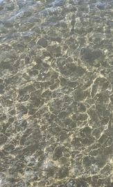 Casa vacanza Mondragone /levagnole