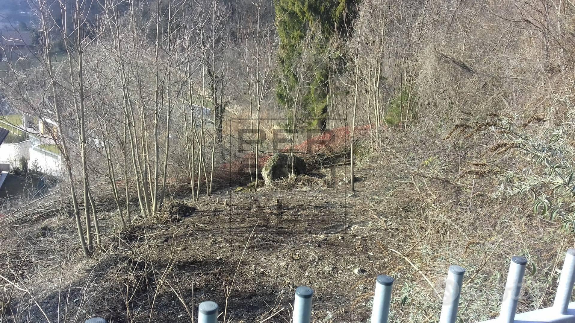 Terreno Edificabile - Borgo Valsugana - Vista 3