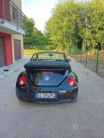 bettle 