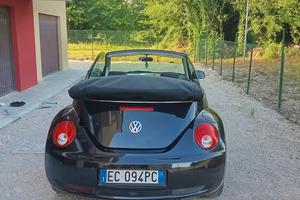 bettle 