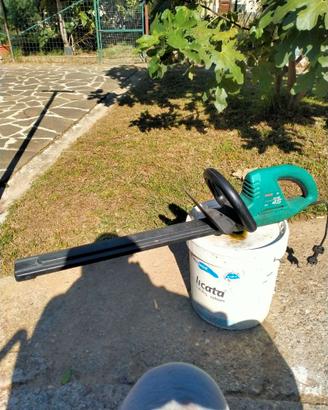Motosega elettrica